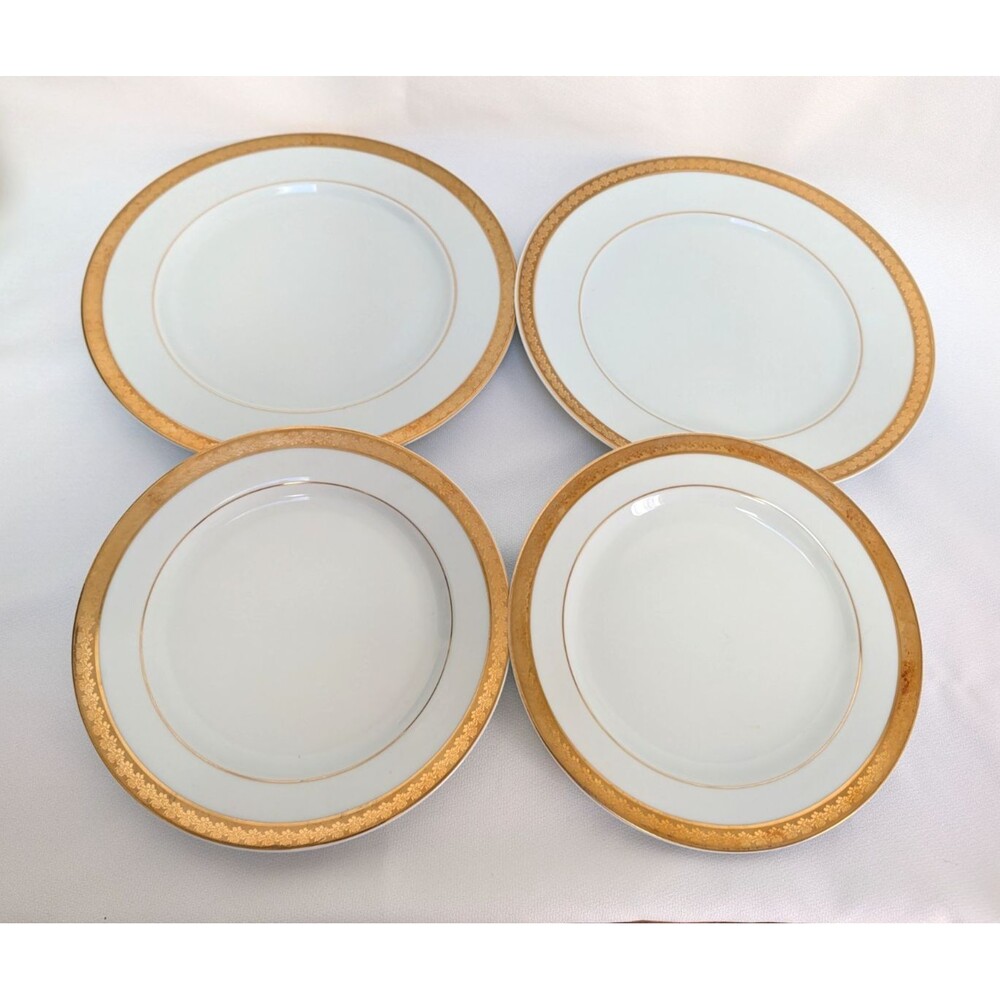 Bernardaud Limoges Rhapsody 2 Dinner Plates 2 Salad Plates